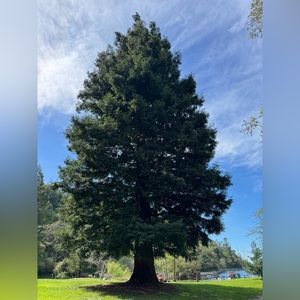 Meet your Posher, Rosa